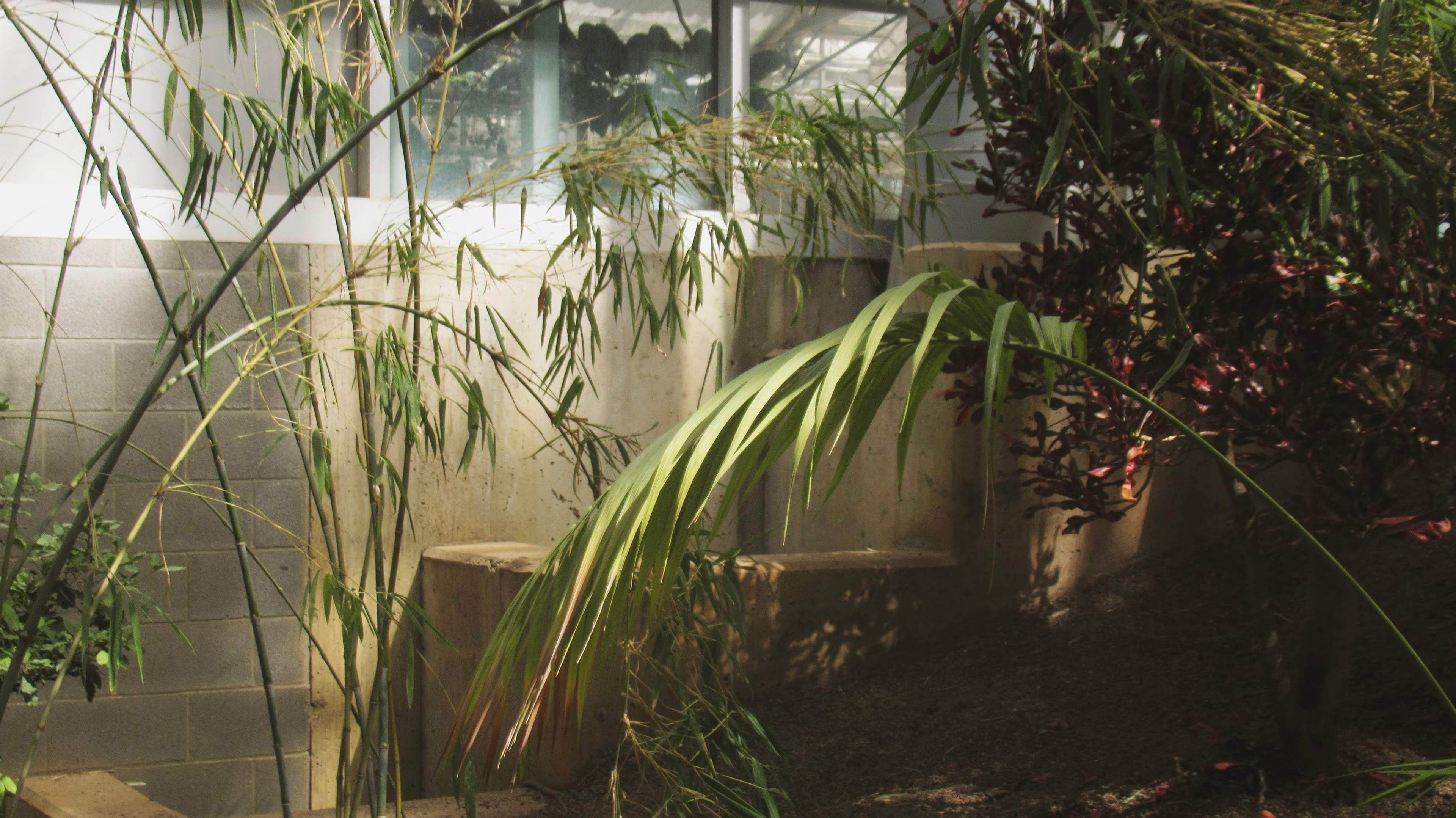 Gardens Photograph