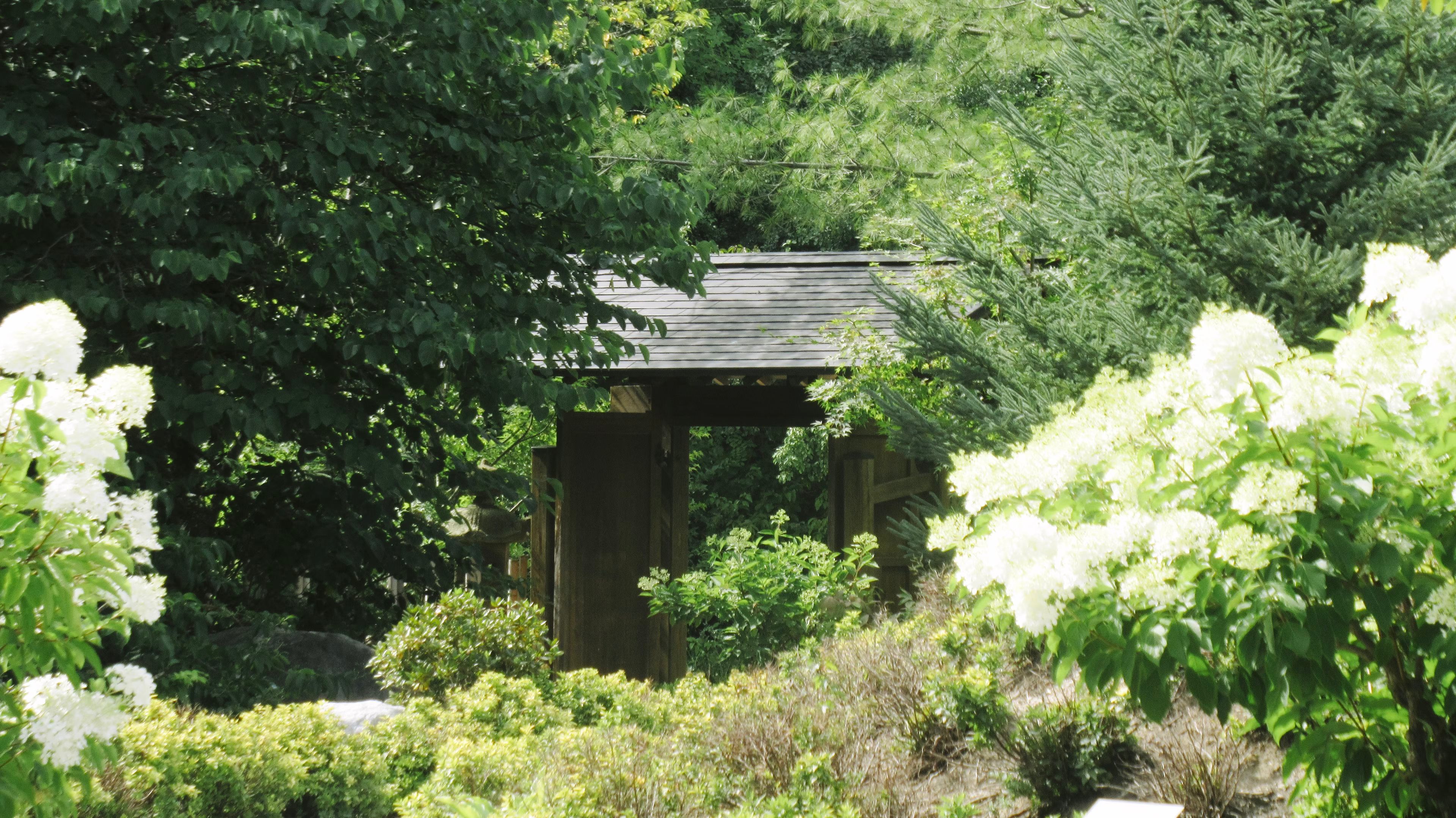 Gardens Photograph