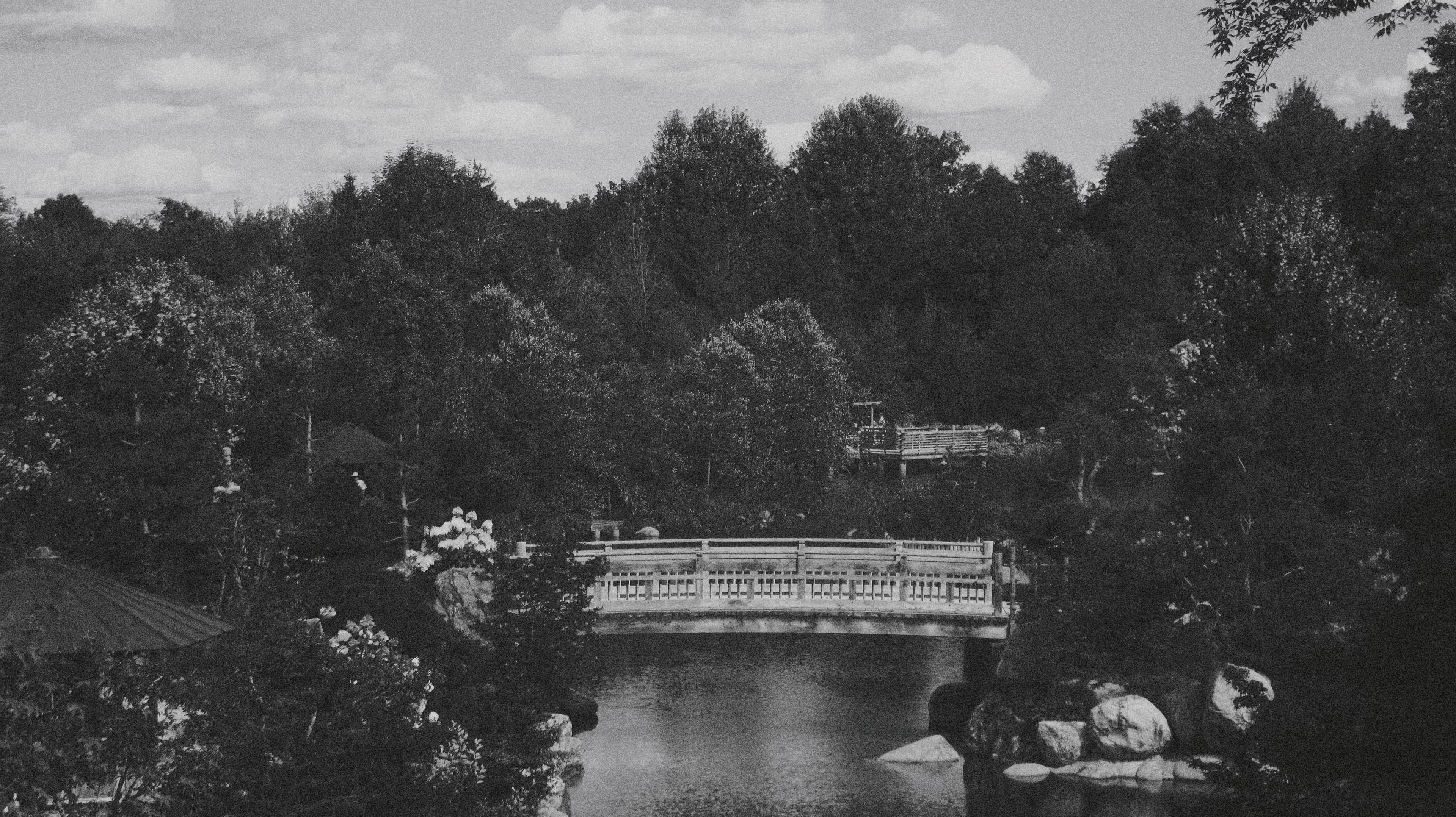 Gardens Photograph