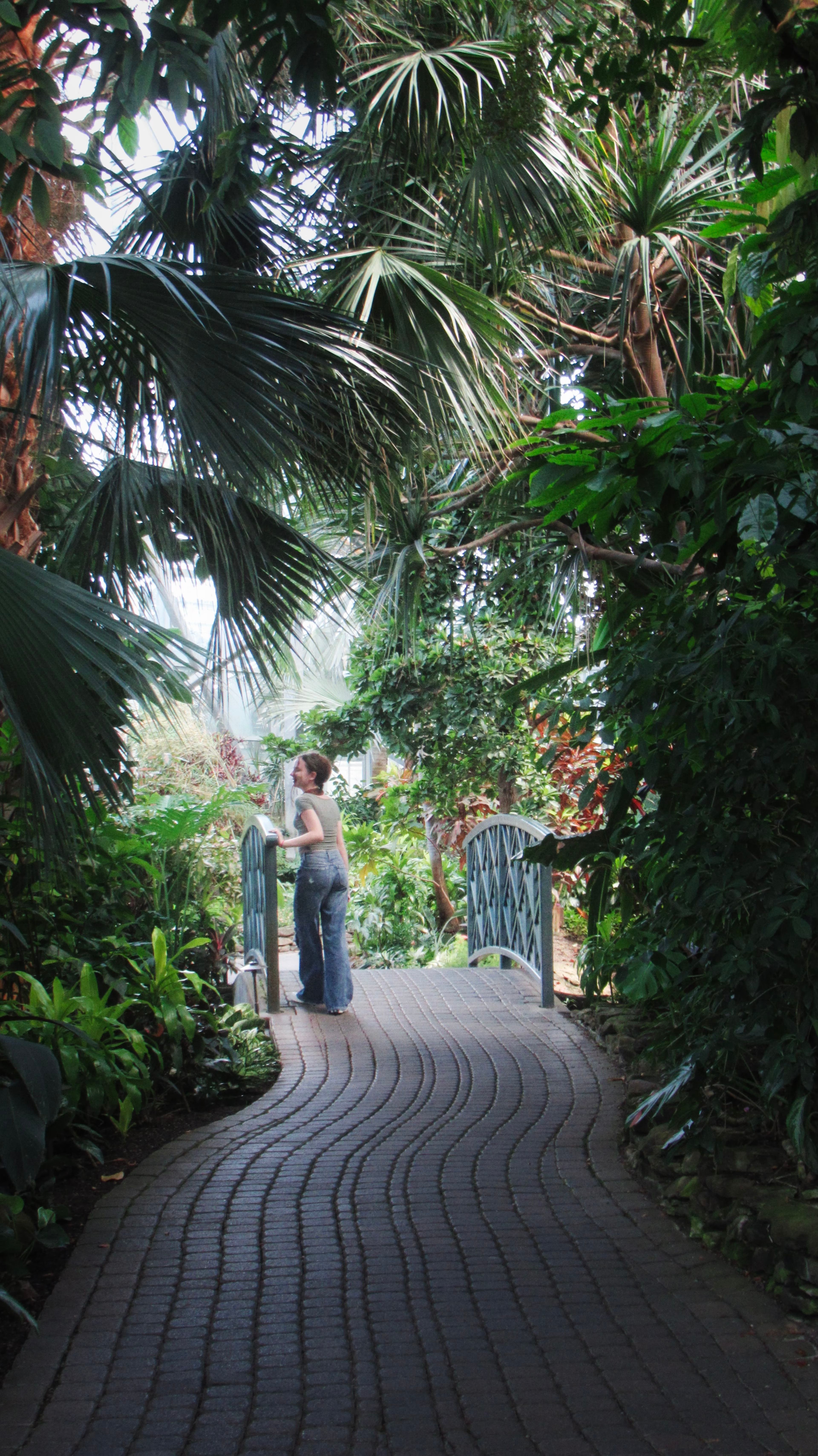 Gardens Photograph